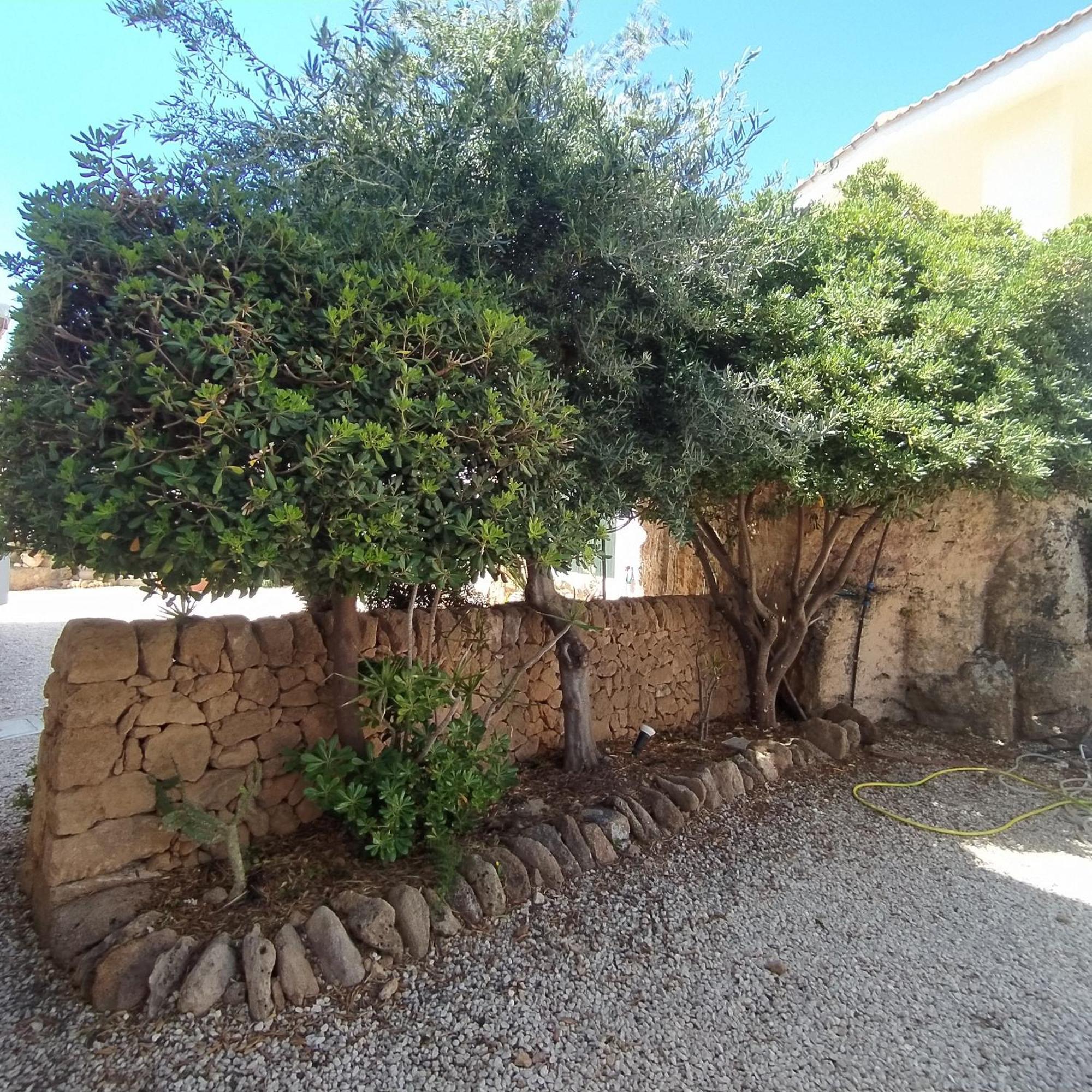 Marina Calabernardo